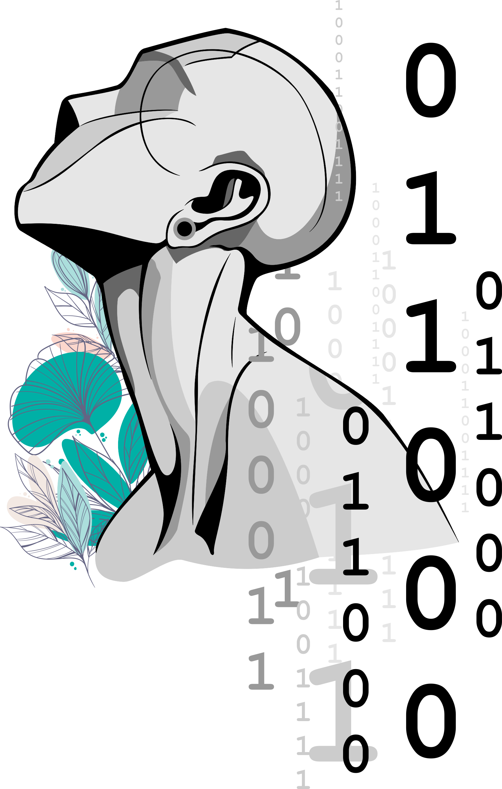 JD Design Studio Web & Graphic Design